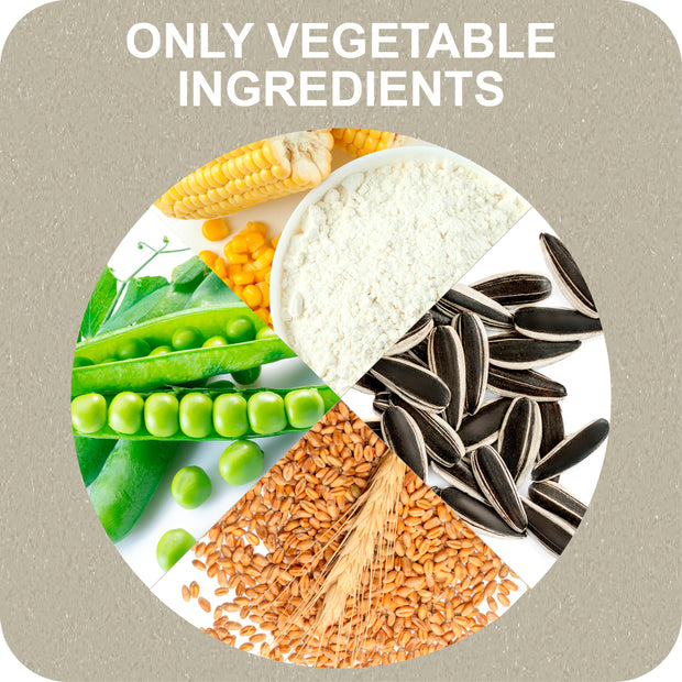 100% SNACK PALITOS - SNOWFLAKE MELISSA