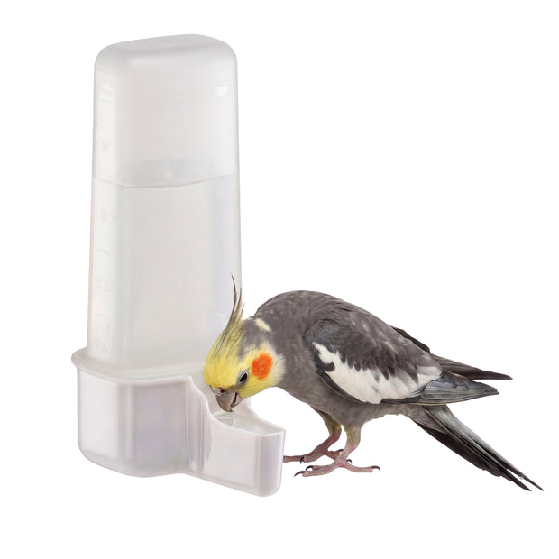 Dispensador de agua o alimento para aves