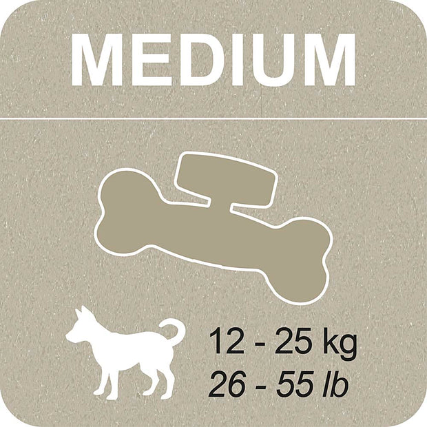 100% SNACK RELLENABLES - BONE EUGLENA