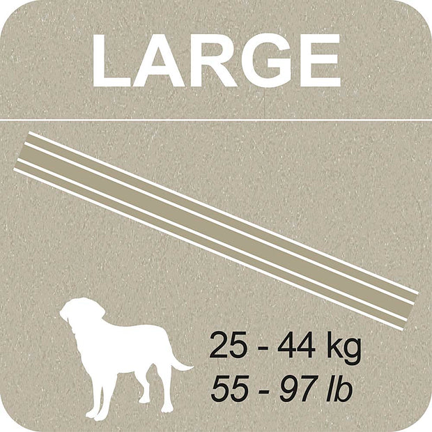 100% SNACK PALITOS - SNOWFLAKE MELISSA