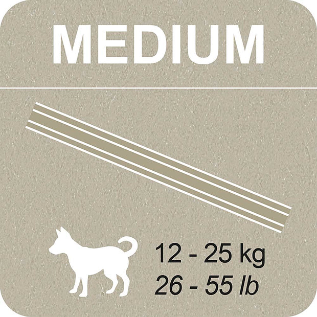 100% SNACK PALITOS - SNOWFLAKE MELISSA