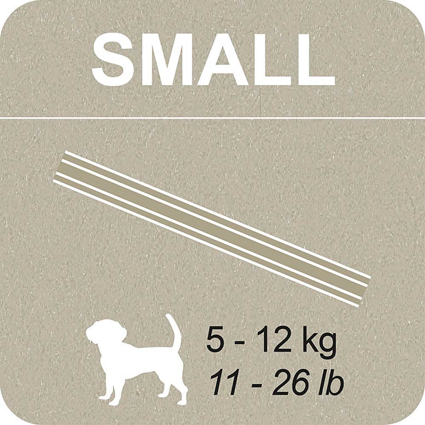 100% SNACK PALITOS - SNOWFLAKE MELISSA