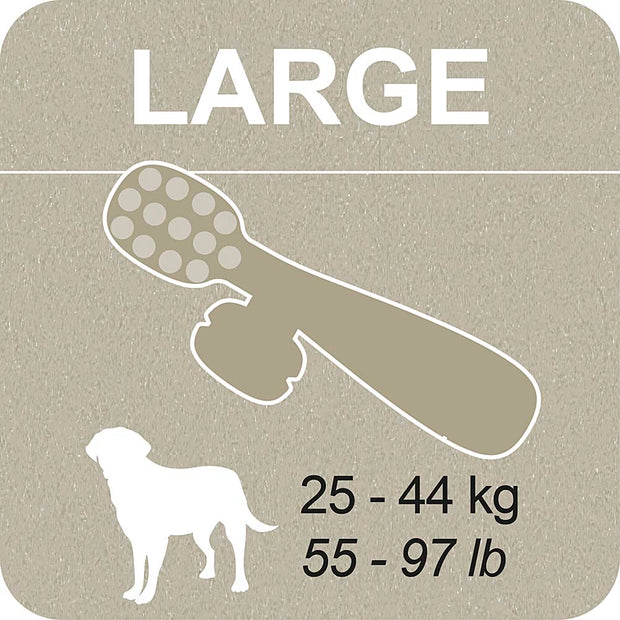 100% SNACK RELLENABLES - TOOTHBRUSH ASCOPHILLUM