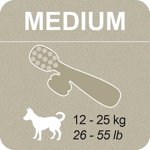 100% SNACK RELLENABLES - TOOTHBRUSH ASCOPHILLUM