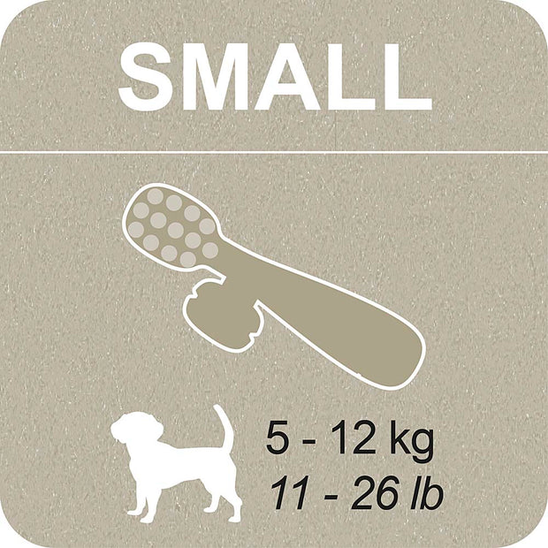 100% SNACK RELLENABLES - TOOTHBRUSH ASCOPHILLUM