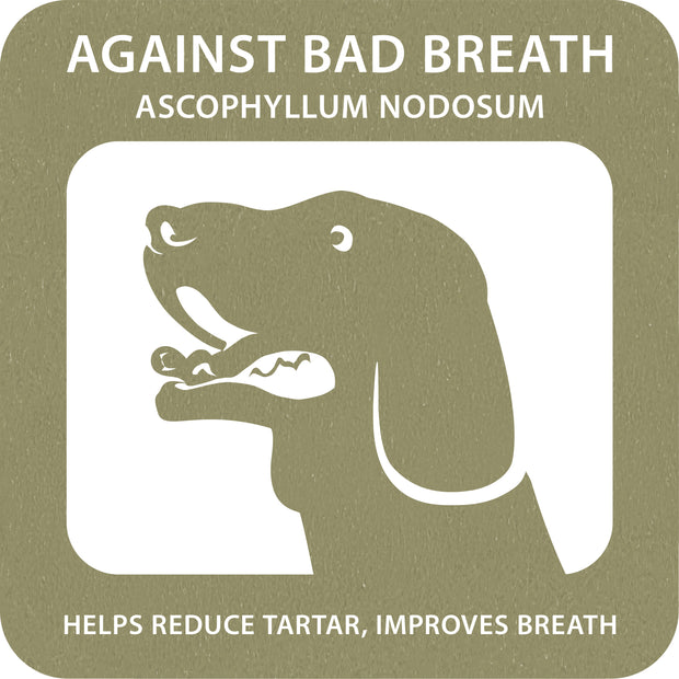 100% SNACK PALITOS - FUSILLI ASCOPHILLUM