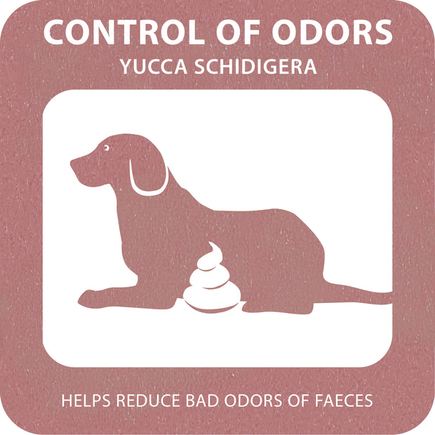 100% SNACK COOKIE - FERPY YUCCA