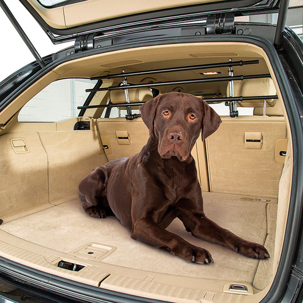 DOG CAR SECURITY