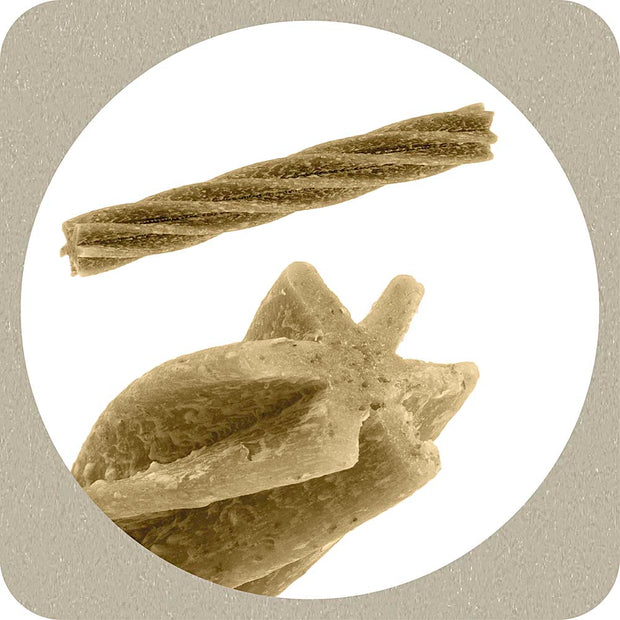 100% SNACK PALITOS - FUSILLI ASCOPHILLUM
