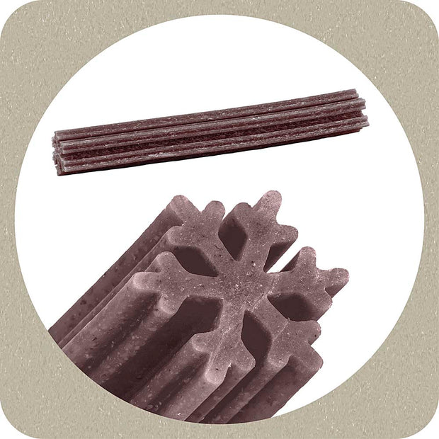 100% SNACK PALITOS - SNOWFLAKE MELISSA