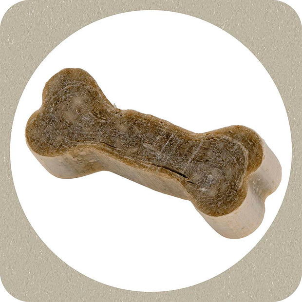 100% SNACK COOKIE - BONE ASCOPHILLUM
