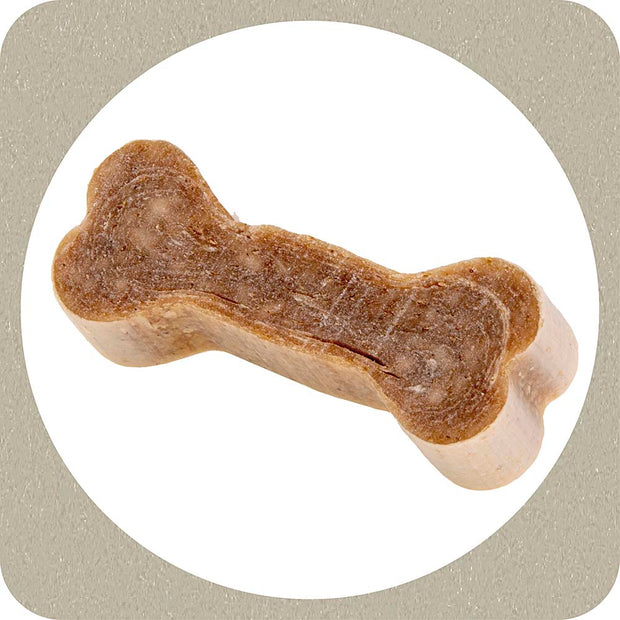 100% SNACK COOKIE - BONE EUGLENA
