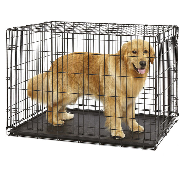 DOG-INN
