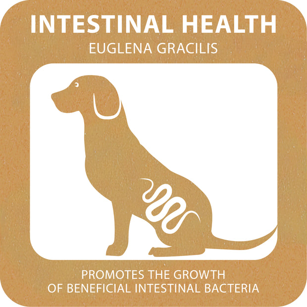 100% SNACK COOKIE - BONE EUGLENA